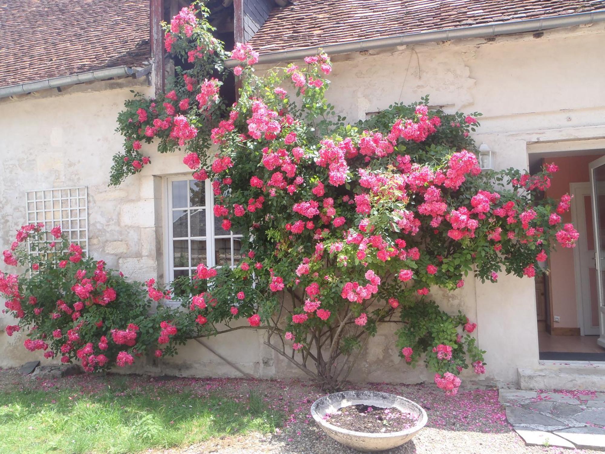 Chambres D'Hotes Du Domaine De Jacquelin Saint-Germain-du-Puy Стая снимка